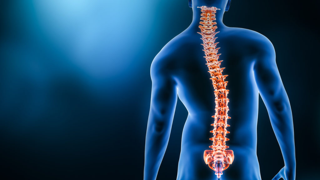 curvature-of-the-spine-and-man-body-back-view-3d-rendering-illustration